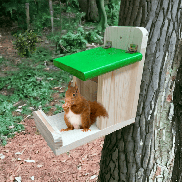 karmniki dla wiewiórek producent Fordesk